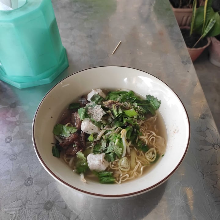 photo of ร้านโชคดีอาหารเจ หลังวัดโอกาส vegetarian Noodle shared by @takgm on  07 Mar 2024 - review