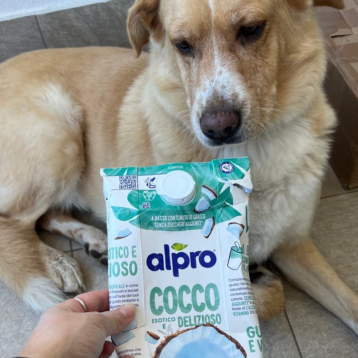 photo of Alpro latte vegetale di cocco e riso shared by @nicole- on  22 Oct 2024 - review