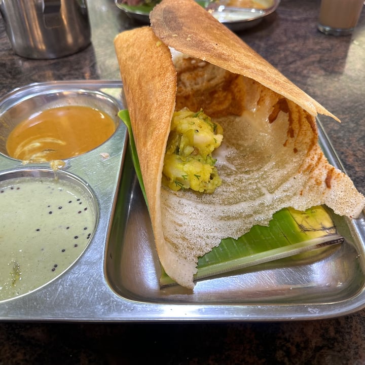 photo of GURU DARSHINI -DOSA PALACE masala dosa shared by @yasminahammoud on  24 Dec 2023 - review