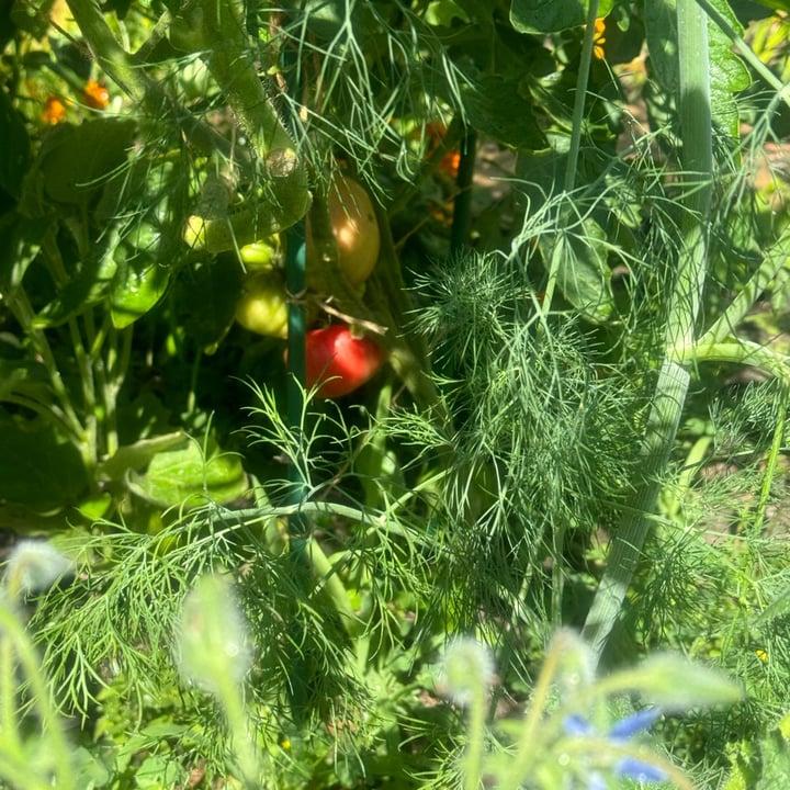 photo shared by @billysnow on  23 Jun 2025 - post