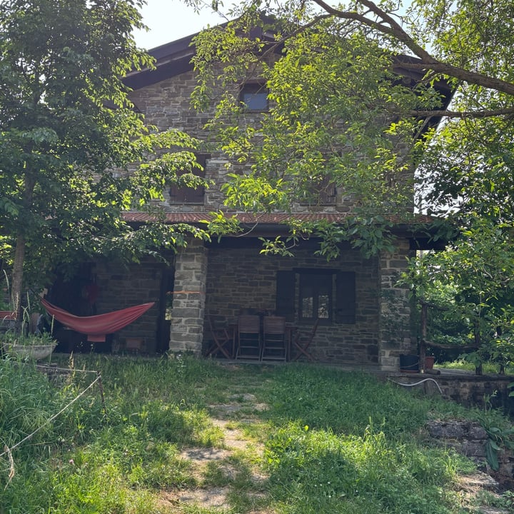 photo of Farm Vegan The Village Of Tara Insalatina di funghi e rucola shared by @perlemammemucche on  15 Jul 2025 - review