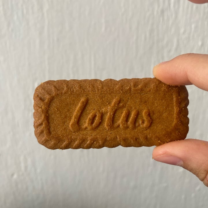 photo of Lotus Biscoff lotus biscoff cookies shared by @antiangel on  16 Mar 2024 - review