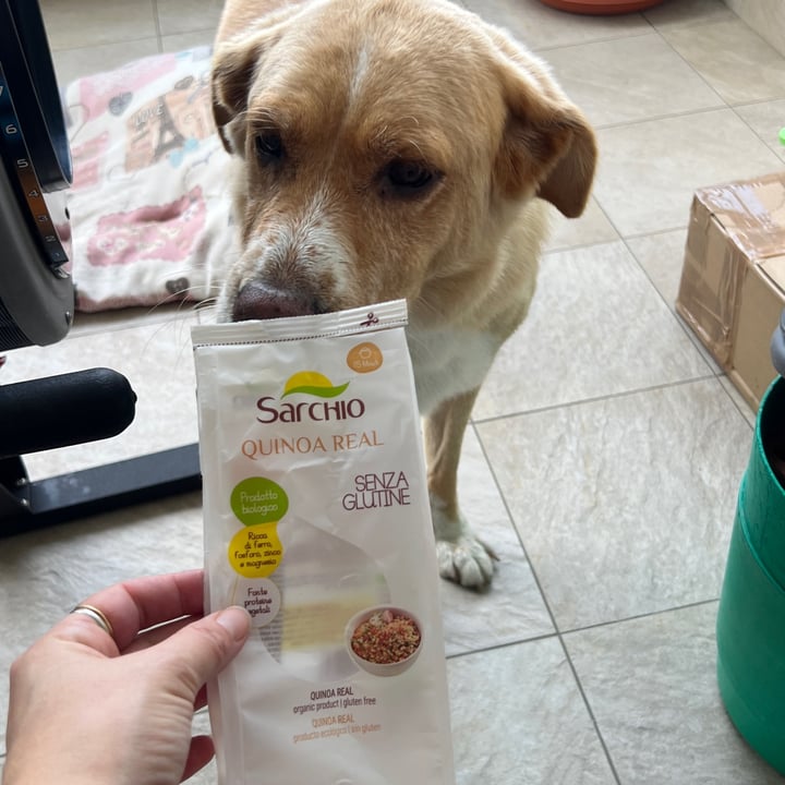 photo of Sarchio Quinoa real shared by @nicole- on  22 Oct 2024 - review