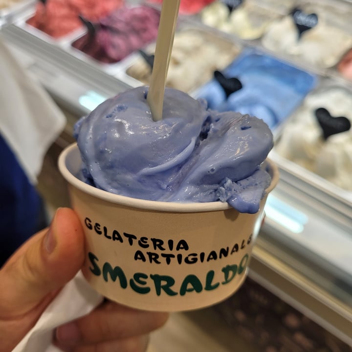photo of Gelateria Flora Gelato Spirulí shared by @a1ex on  27 Aug 2023 - review
