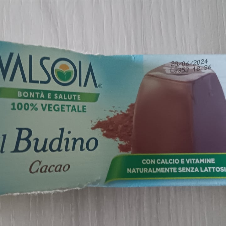 photo of Valsoia Budino al cioccolato shared by @nicole91 on  10 Feb 2024 - review