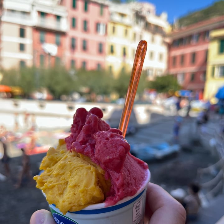 photo of Gelateria Il Porticciolo Sorbet Mangue Et Framboise shared by @eeyoreblack on  09 Sep 2025 - review
