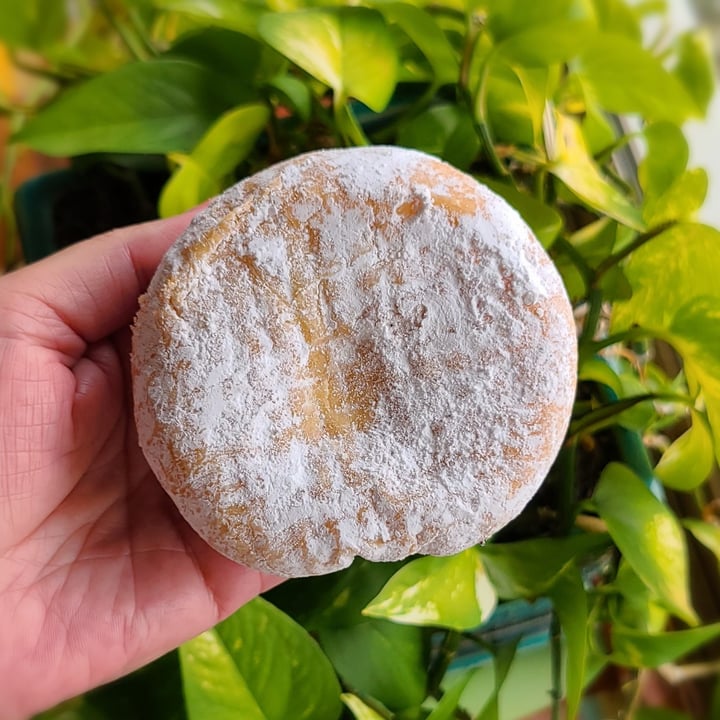 photo of Baker Benji's Vegan Powdered Raspberry Jelly Filled Donut shared by @agreene428 on  03 Apr 2024 - review