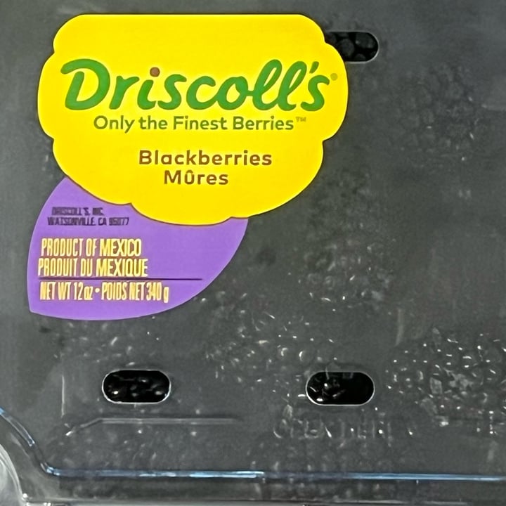 photo of Driscoll’s Blackberries shared by @petramodirari on  16 Apr 2024 - review