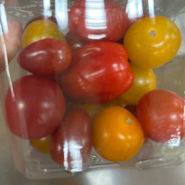 photo of Windset Farms Symphony Tomato Ensemble shared by @rochi09 on  06 Oct 2025 - review