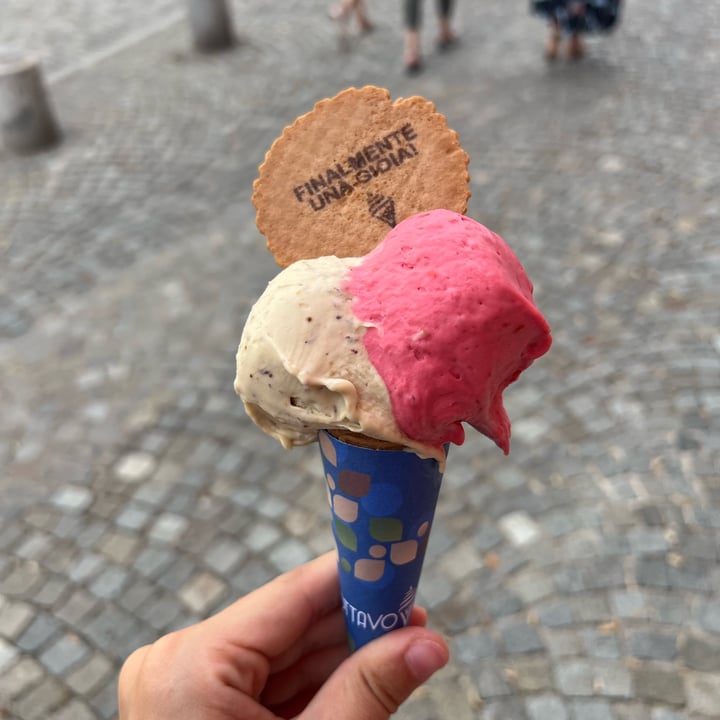 photo of Gelateria Artigianale Ottavo Senso Gelato Fico Nero E Lampone shared by @gretyl on  24 Jun 2024 - review