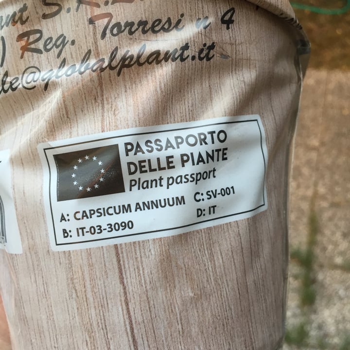 photo of Globalplant Peperoncino shared by @fbr on  21 Aug 2023 - review