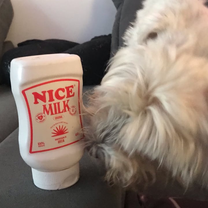 photo of Nice Milk concentrado de Aveia Sem Glúten shared by @catialee on  27 Apr 2025 - review