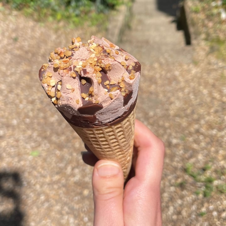 plant-menu-4-chocolate-hazelnut-ice-cream-cones-review-abillion