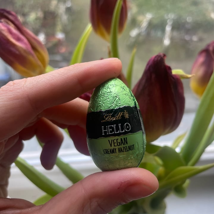 photo of Lindt Hello Vegan Creamy Hazelnut Eggs shared by @curtistheweirdcat on  01 Apr 2024 - review