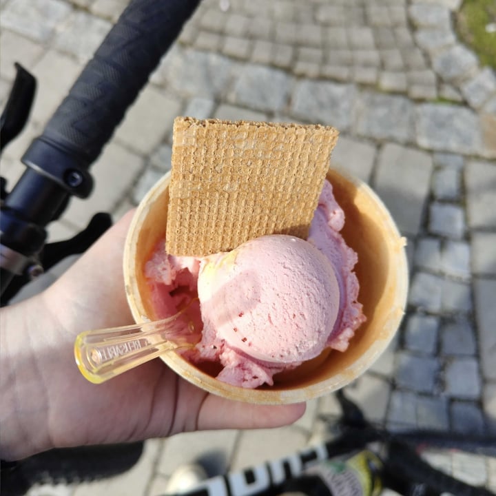 photo of Eiscafe Venezia Vegan Ice Cream shared by @botanicalcastle on  01 Apr 2024 - review