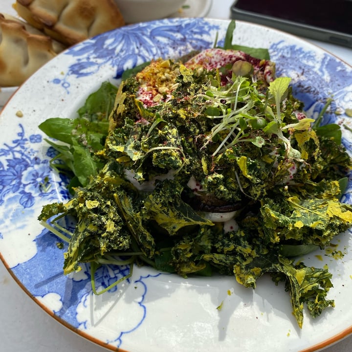 photo of Pura Restoran Lasagña Con Queso De Caju Y Kale shared by @emilsebacarreza on  26 Sep 2023 - review