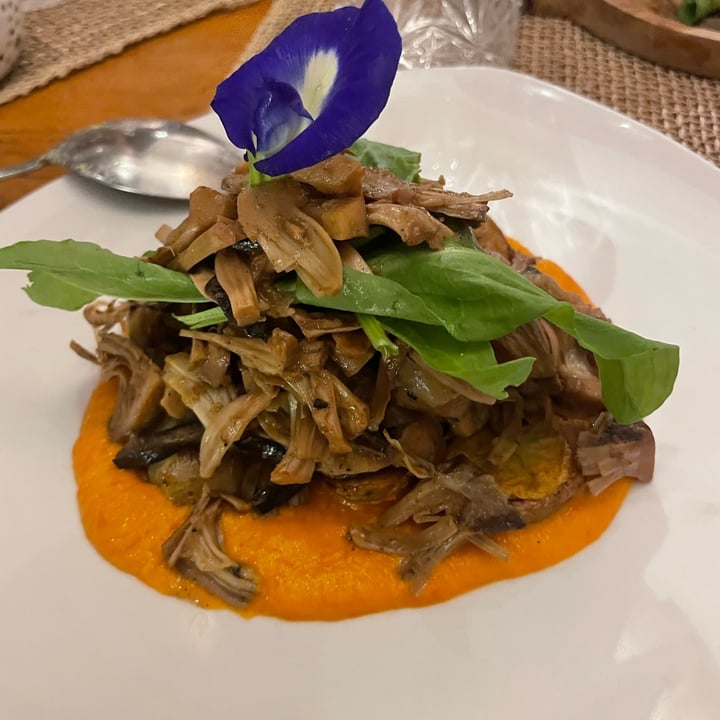 photo of Wild Vegan Pulled jackfruit shared by @flamy on  10 Jun 2025 - review