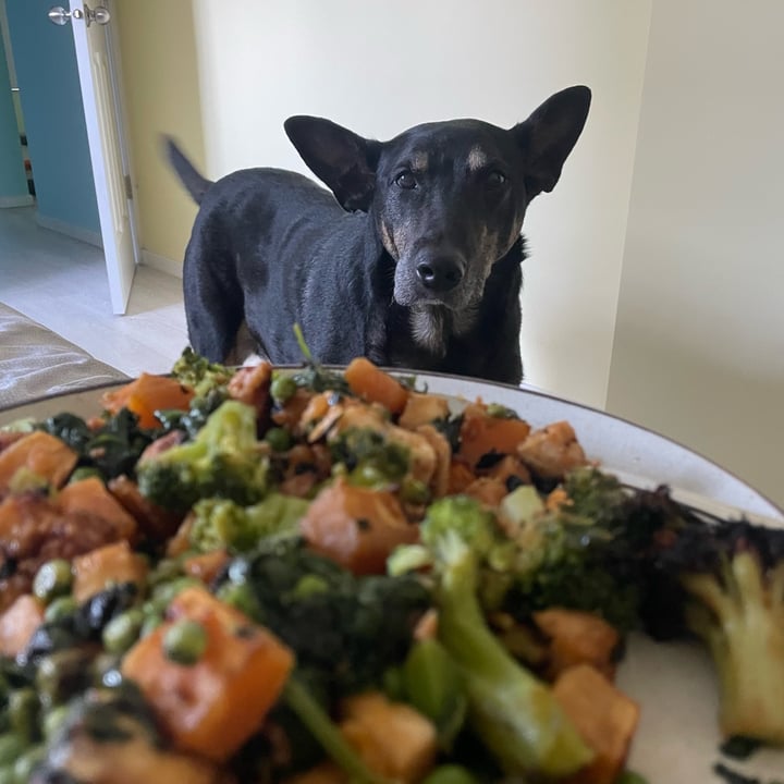 photo shared by @veganvanwoman on  28 Aug 2025 - post