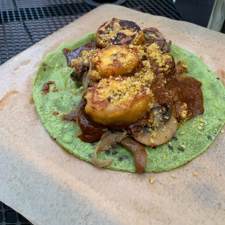 photo of Taco Green Tacos Gourmet - Mole shared by @happycoconut2004 on  18 Jan 2025 - review