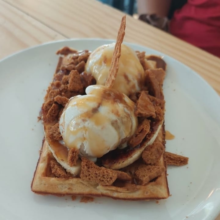 photo of ditto Better than Biscoff Waffle shared by @punilu on  27 Jan 2024 - review