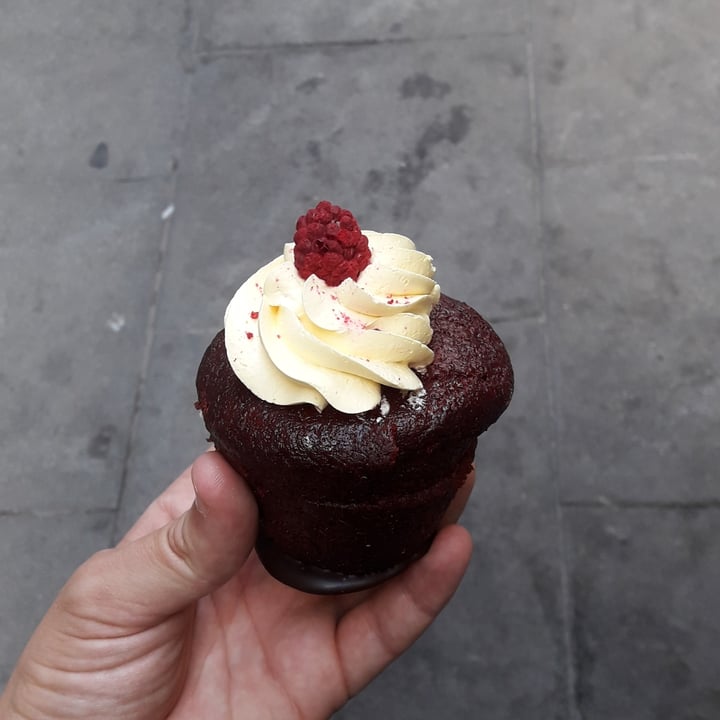 photo of Chök The Chocolate Kitchen Cupcakes Veganos shared by @gabinboy on  06 Nov 2023 - review