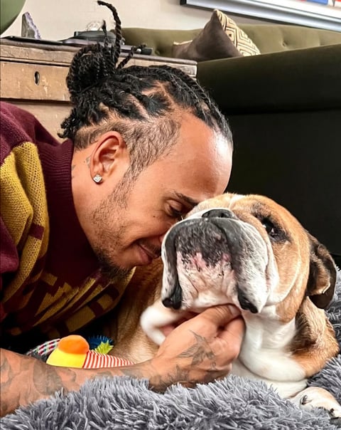 Roscoe’s Best Vegan Dog Treats: In Memory of Lewis Hamilton’s Beloved Rescue