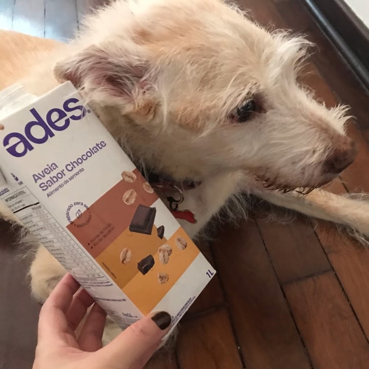 photo of Ades Aveia sabor chocolate shared by @catialee on  27 Apr 2025 - review