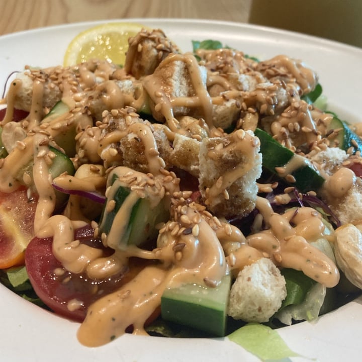 photo of Brown Poodle Cafe Garden Salad shared by @david- on  15 Sep 2023 - review