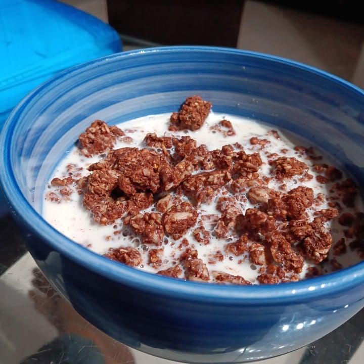 photo of One Degree Organic Foods Sprouted Quinoa Cacao Granola shared by @lliguerpr96 on  05 Apr 2024 - review