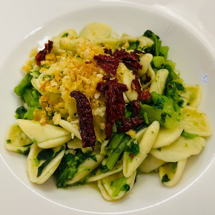 photo of Trattoria Lucana Cicoria e purea di fave shared by @miba on  09 Oct 2025 - review
