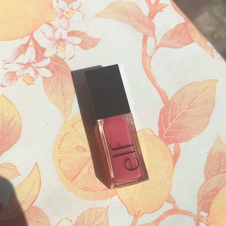 photo of e.l.f. Cosmetics Glow Reviver Lip Oil Rose Envy shared by @ang- on  25 May 2024 - review