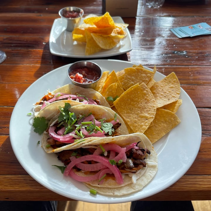 photo of Two Dollar Radio Headquarters mushroom Tacos shared by @jacobnewstar on  05 Jun 2024 - review