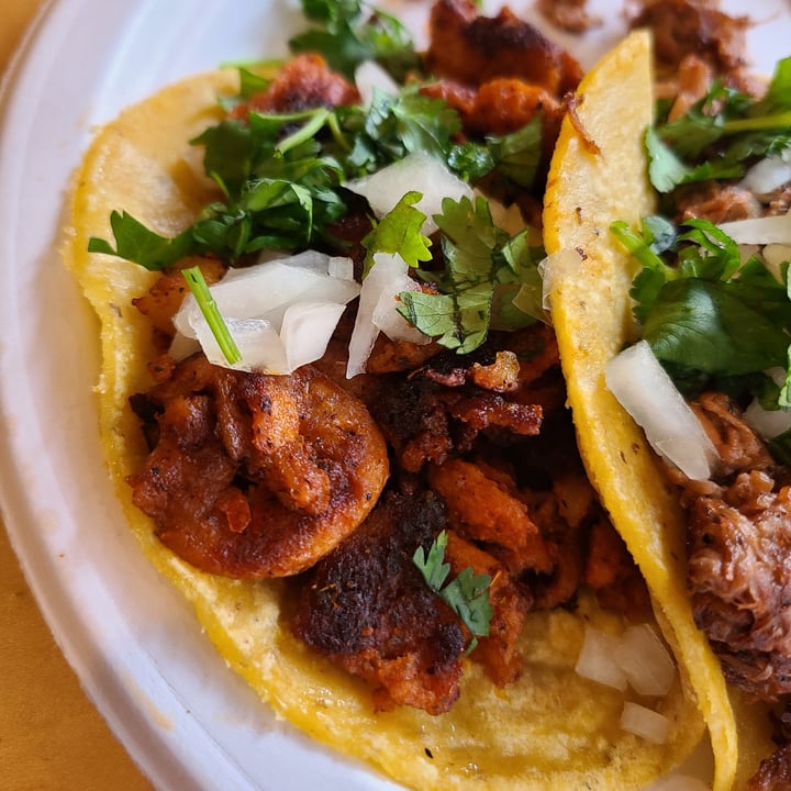 photo of Rojo's Mexican Food Taco Al Pastor shared by @sofihuasteca on  31 Mar 2024 - review