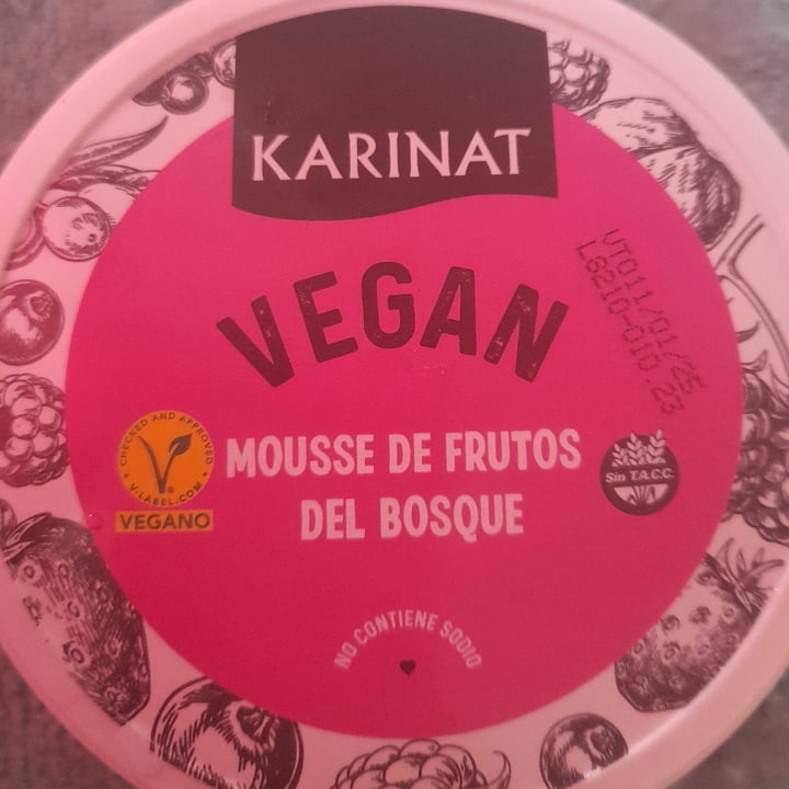 photo of Karinat Mousse Frutos del Bosque shared by @paauvegan on  04 Feb 2024 - review