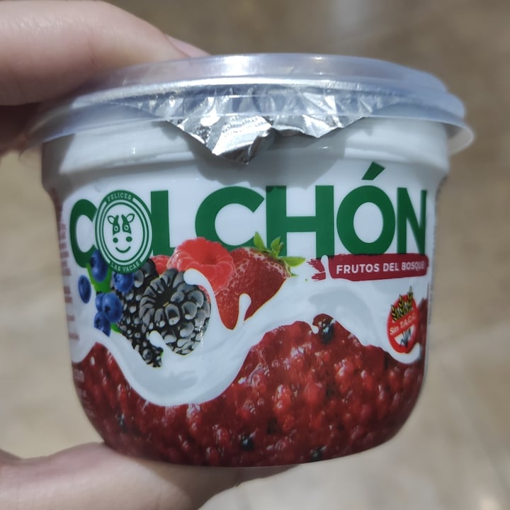 photo of Felices Las Vacas Yogurt Colchón de Frutas Frutos del Bosque shared by @argentinaveggie on  13 Mar 2024 - review