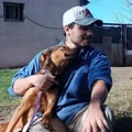@brianvalcarlos profile image