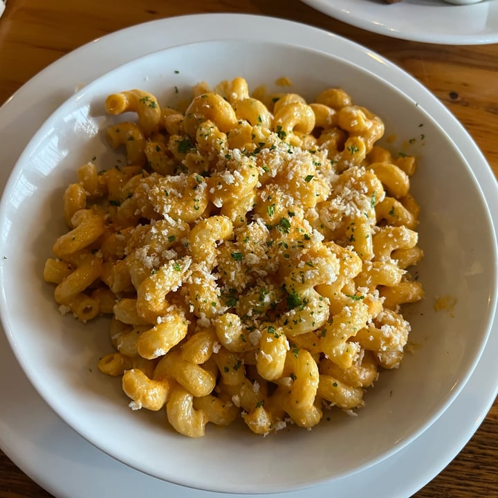 photo of Pulse Cafe Mac N Cheese shared by @ac211wj on  28 Mar 2024 - review