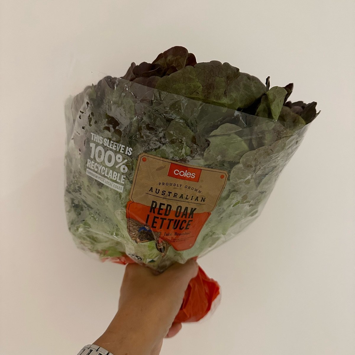 Coles Red Oak Lettuce Reviews abillion