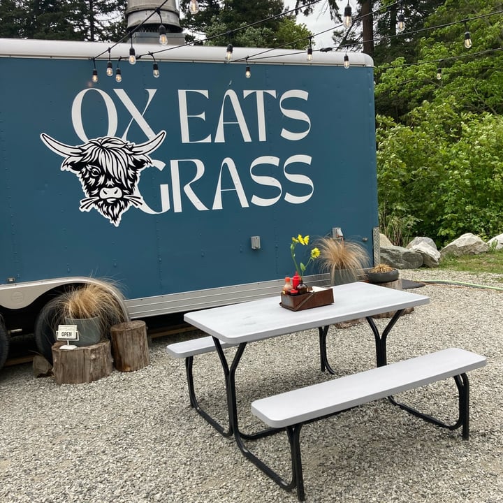 photo of Ox Eats Grass Blueberry Lemon Waffles shared by @veggie-meg on  06 May 2024 - review