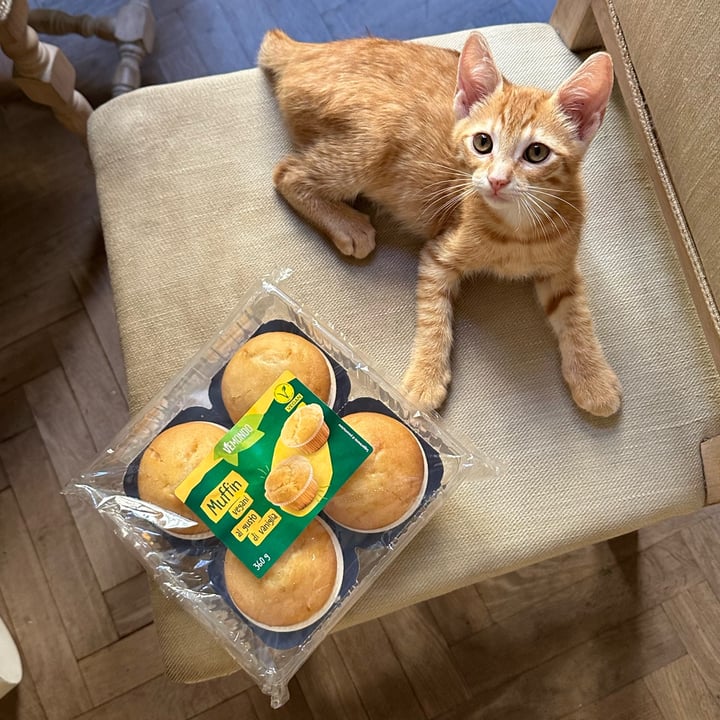 photo of Vemondo  muffin vegano shared by @nicolerenou on  04 Jul 2024 - review