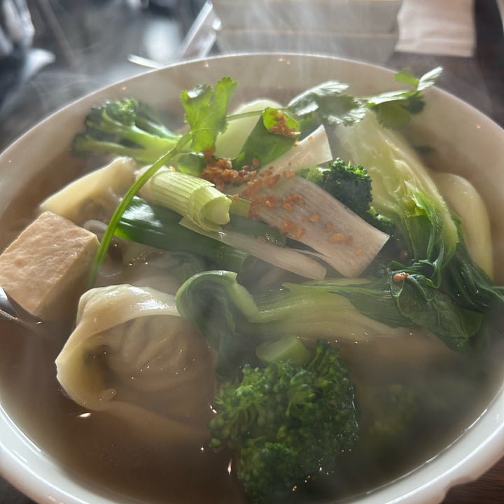 photo of H.O.P.E. Healthy Organic Positive Eating Wonton soup shared by @samanthab3 on  20 Feb 2024 - review