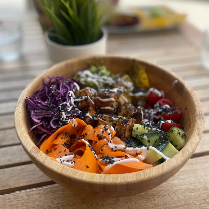 photo of AHIMSA plant based food & café Bowl shared by @breathtakingskunk16 on  01 Oct 2023 - review
