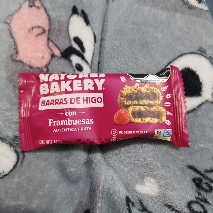 photo of Nature's Bakery Blueberry Fig Bar And Raspberry Fig Bar shared by @fechis on  11 Dec 2023 - review
