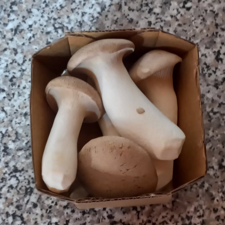 photo of Pick n Pay Exotic King Oyster Mushrooms shared by @ronelle on  13 Feb 2024 - review
