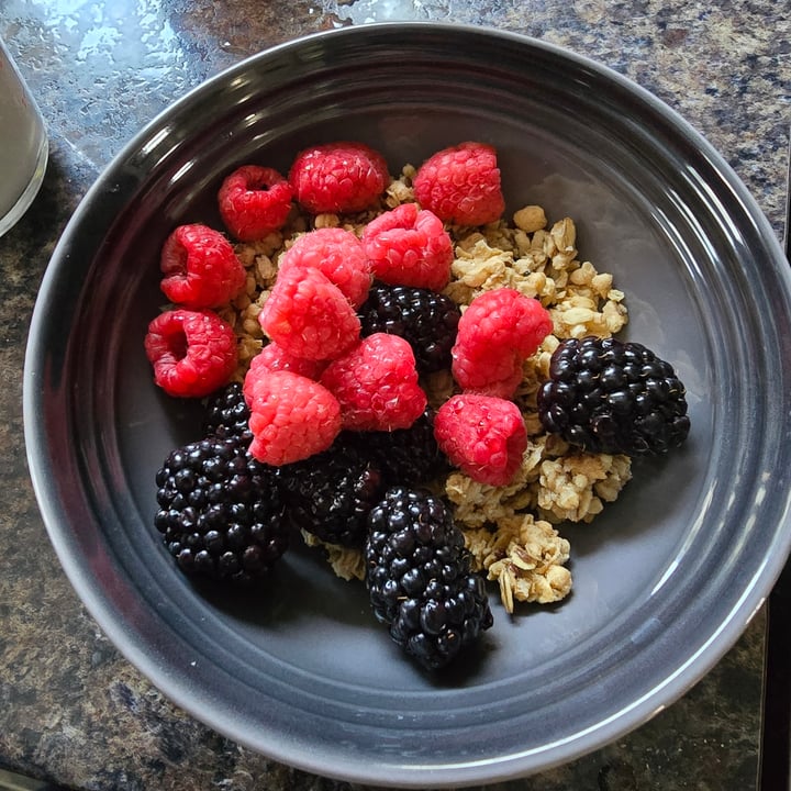 photo of Nature’s Path Organic Hemp Hearts Granola shared by @mermont on  16 Feb 2025 - review