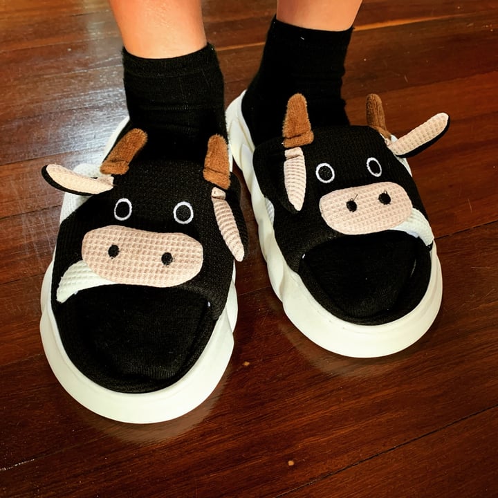 photo of Cow lover Cow slippers slides black shared by @gatherer on  02 Sep 2023 - review