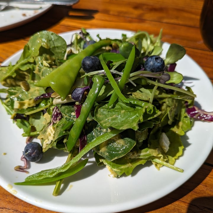 photo of Harvest Pizzeria Bexley Mean Green Salad shared by @edav334 on  18 Apr 2024 - review