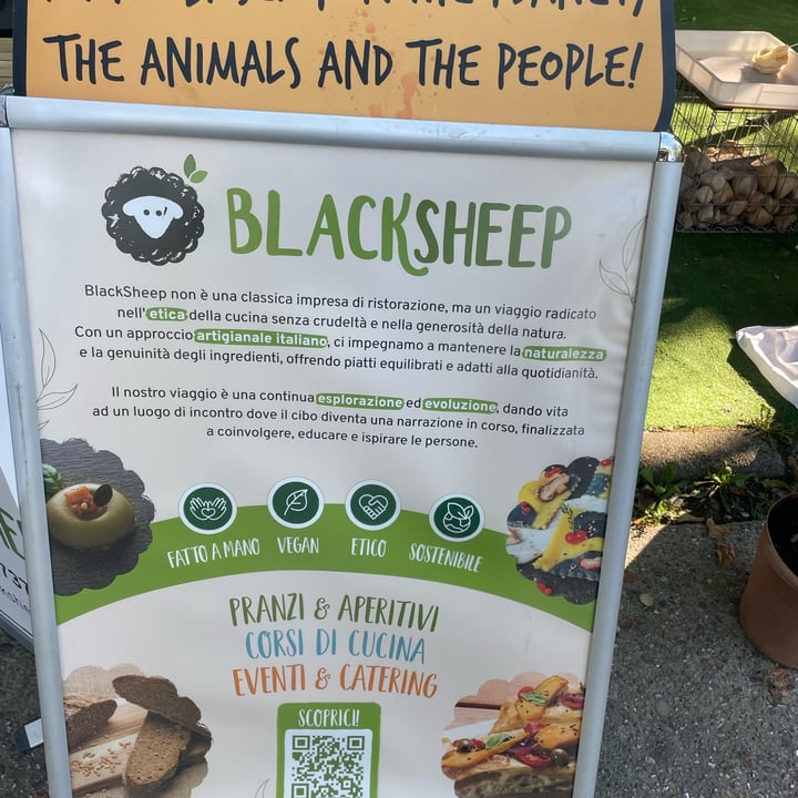 photo of Black Sheep Raw Tiramisu shared by @vittolovestahini on  31 Aug 2025 - review