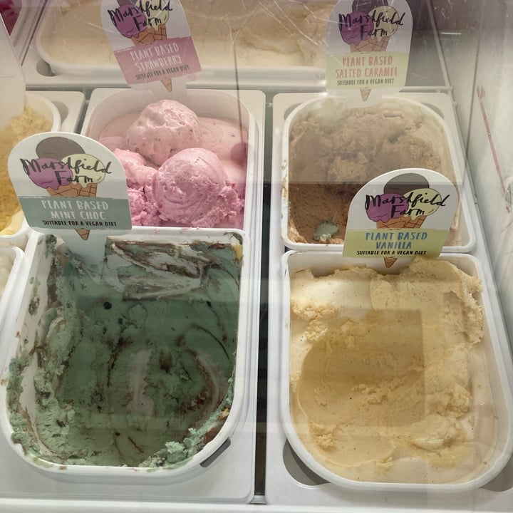 photo of Venezia Exeter Plant Based ice creams shared by @gorgeouspenguin81 on  04 Jul 2024 - review