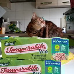 Insuperabile